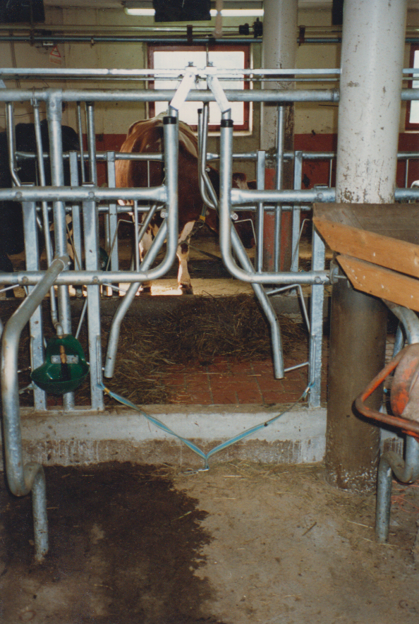 Elite kraft kombibås med stengsel