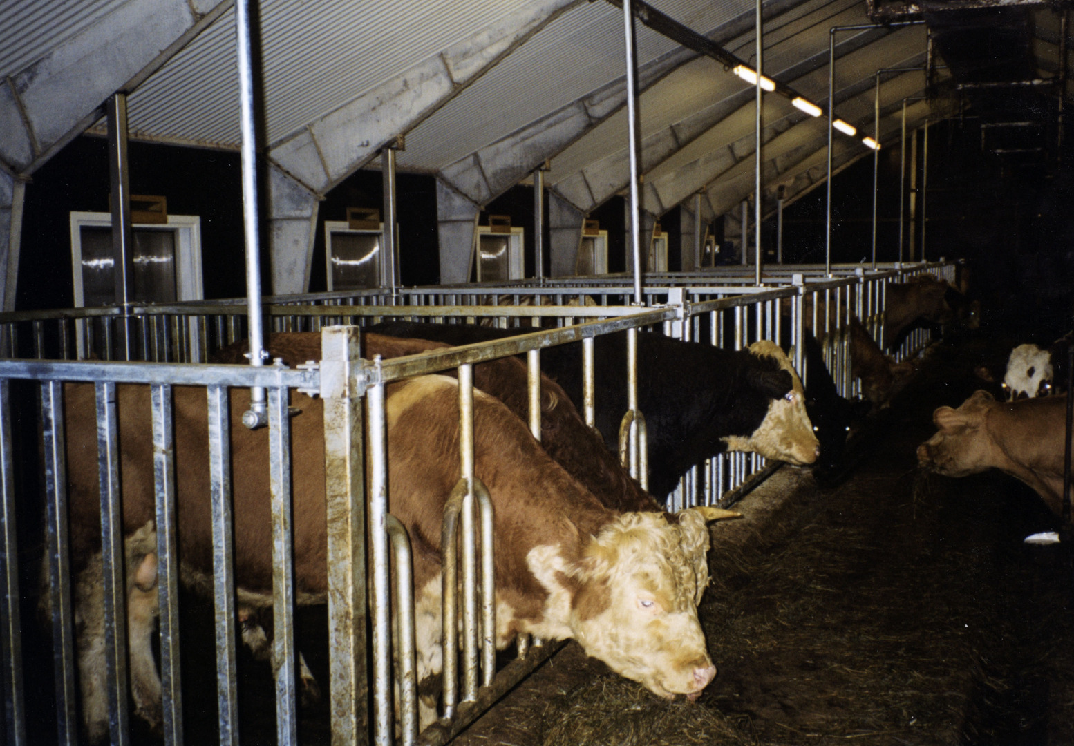 Norum halsbøylefront