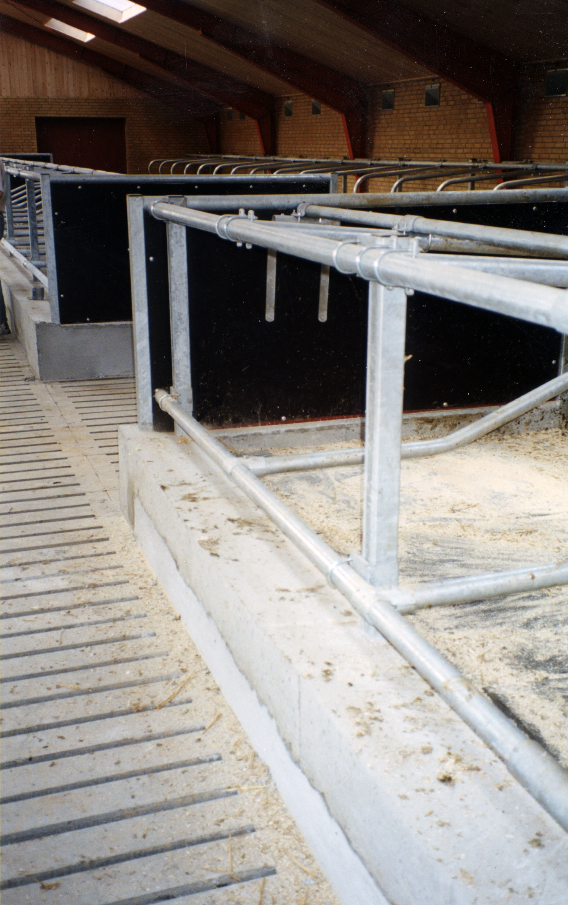 Kraftige stolper på 70x70x4 ved annen hver liggebås bærer liggebåsskillene.