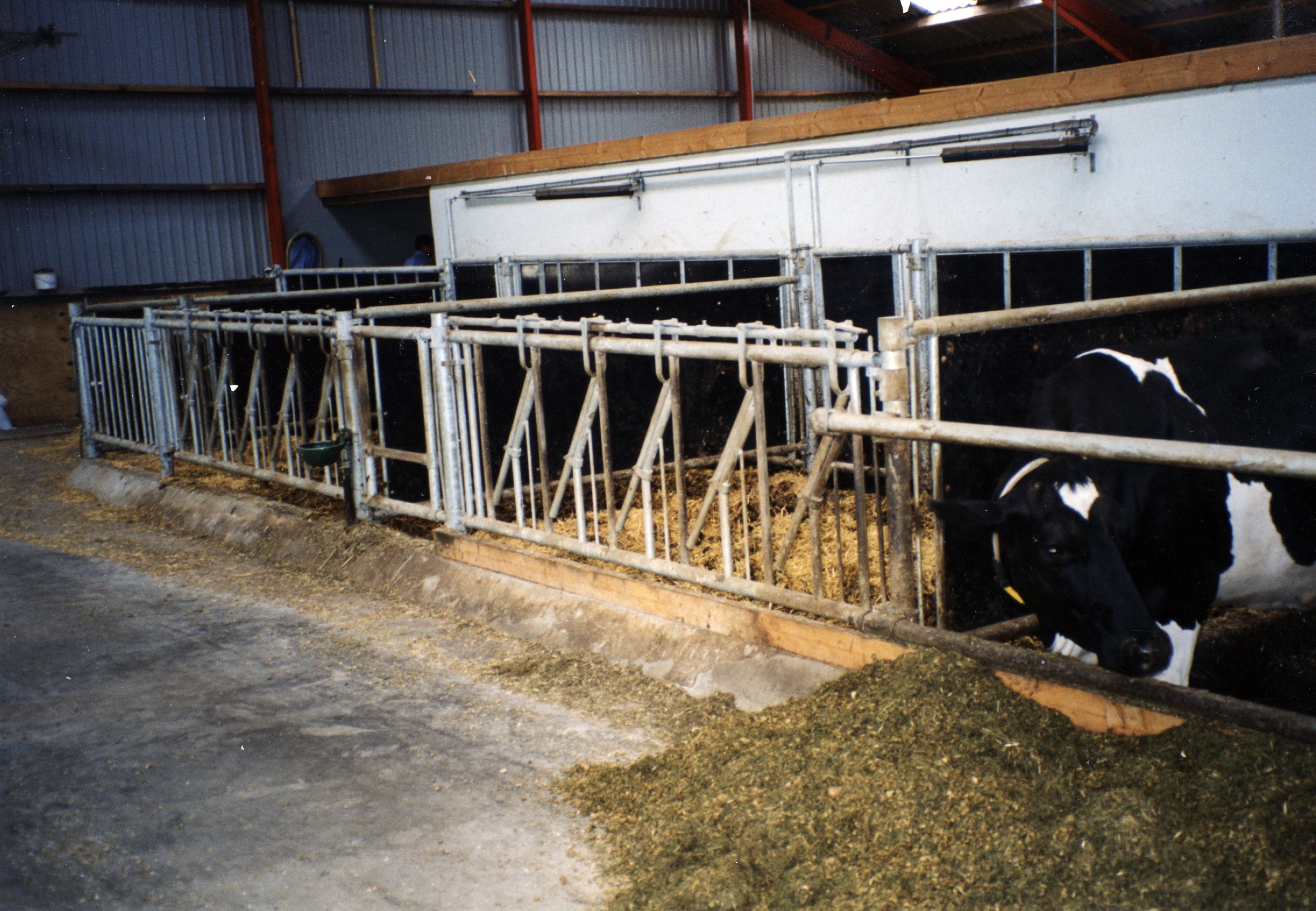 Syke- og fødebinger.