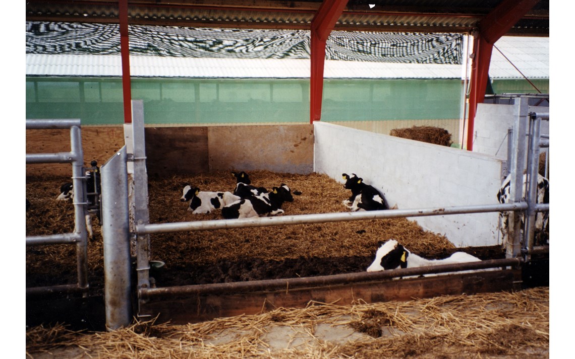 Enkel talleløsning for kalv med justerbare frontrør.