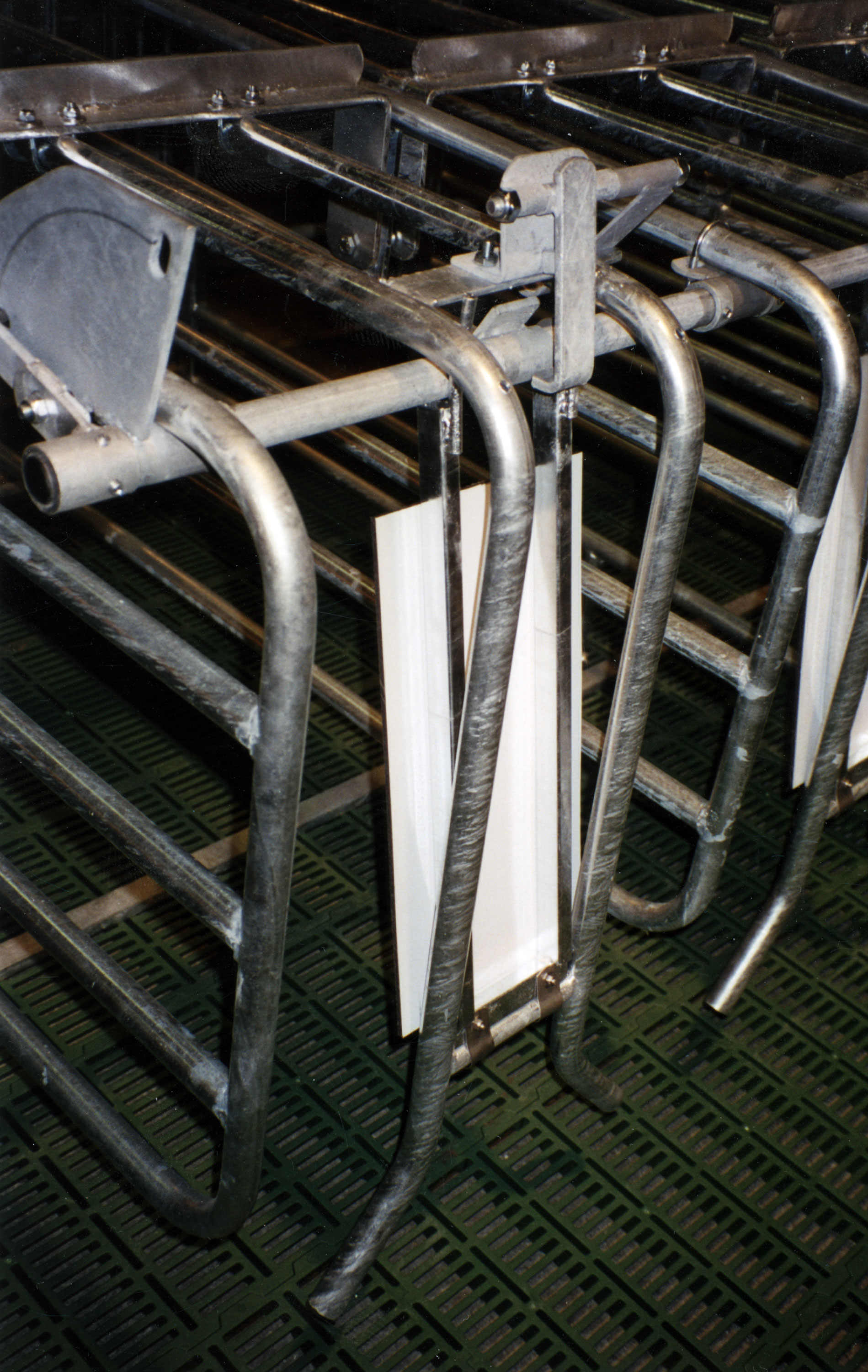 Purkebetjent baklås på Dalsland fôringsbås.