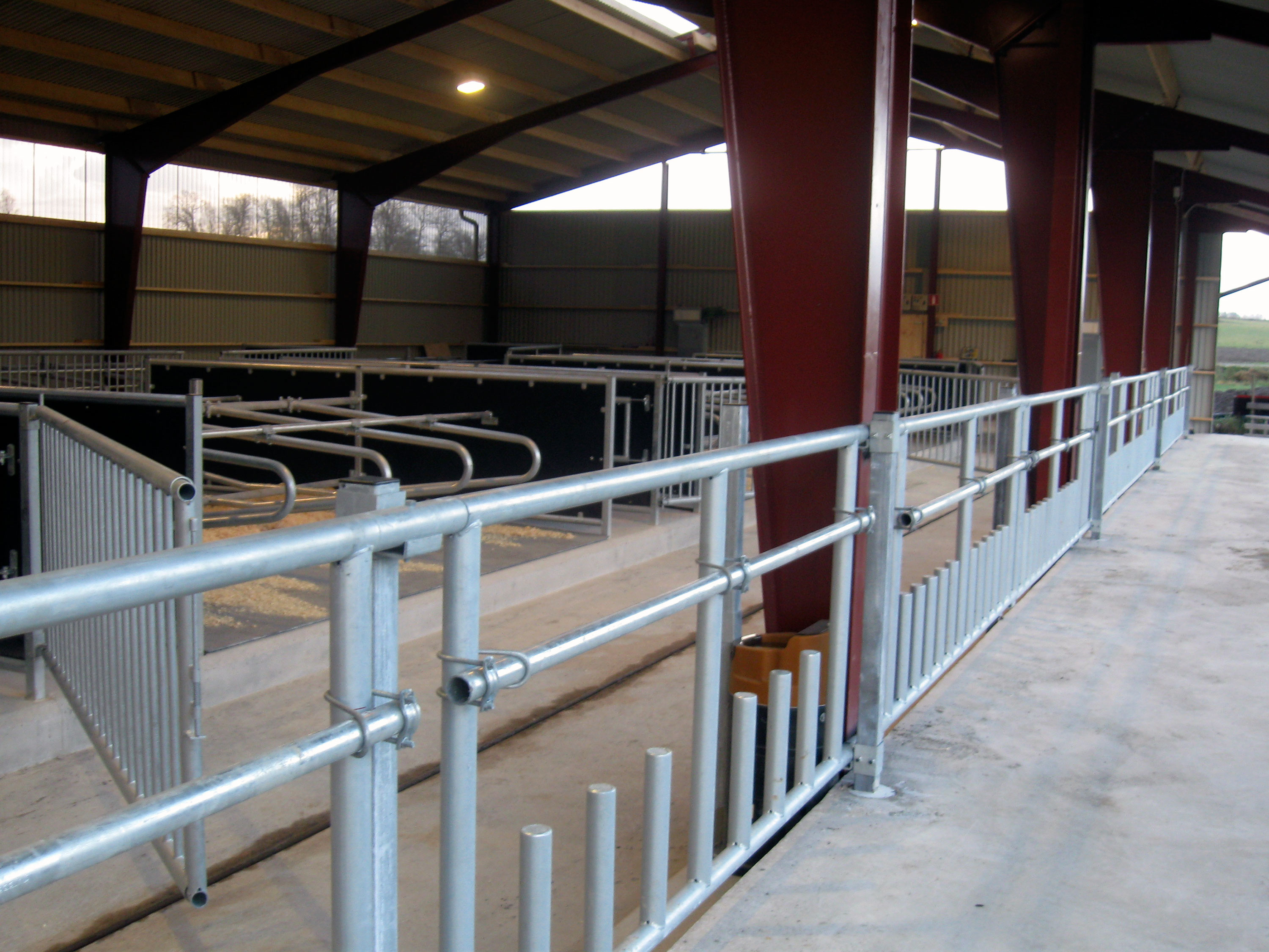 Pinnefront for storfe.