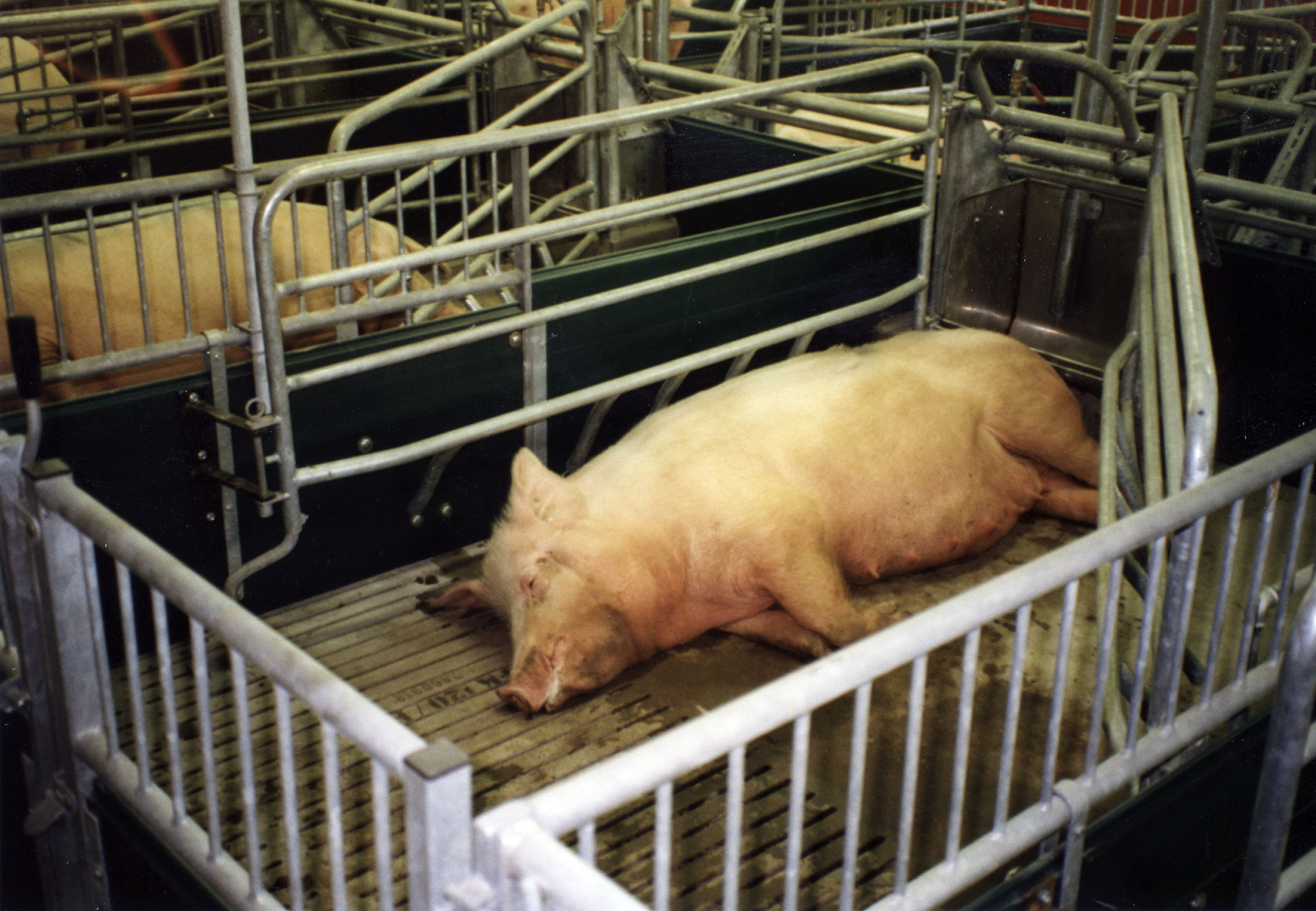 HS Fødebinge Miljø+