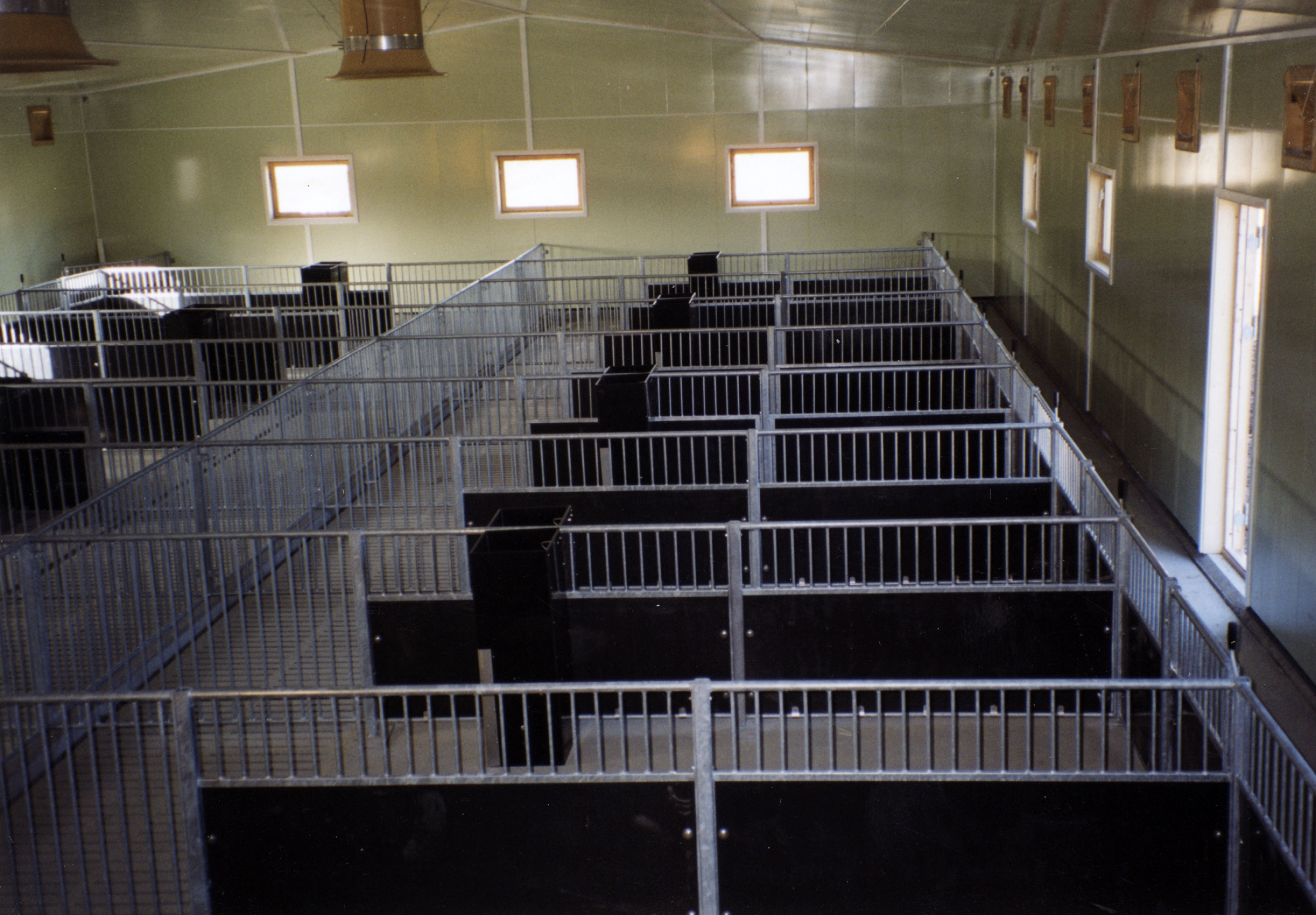 Slaktegrisbinger med gang mot vegg. S-1 slop feeder i hver binge.