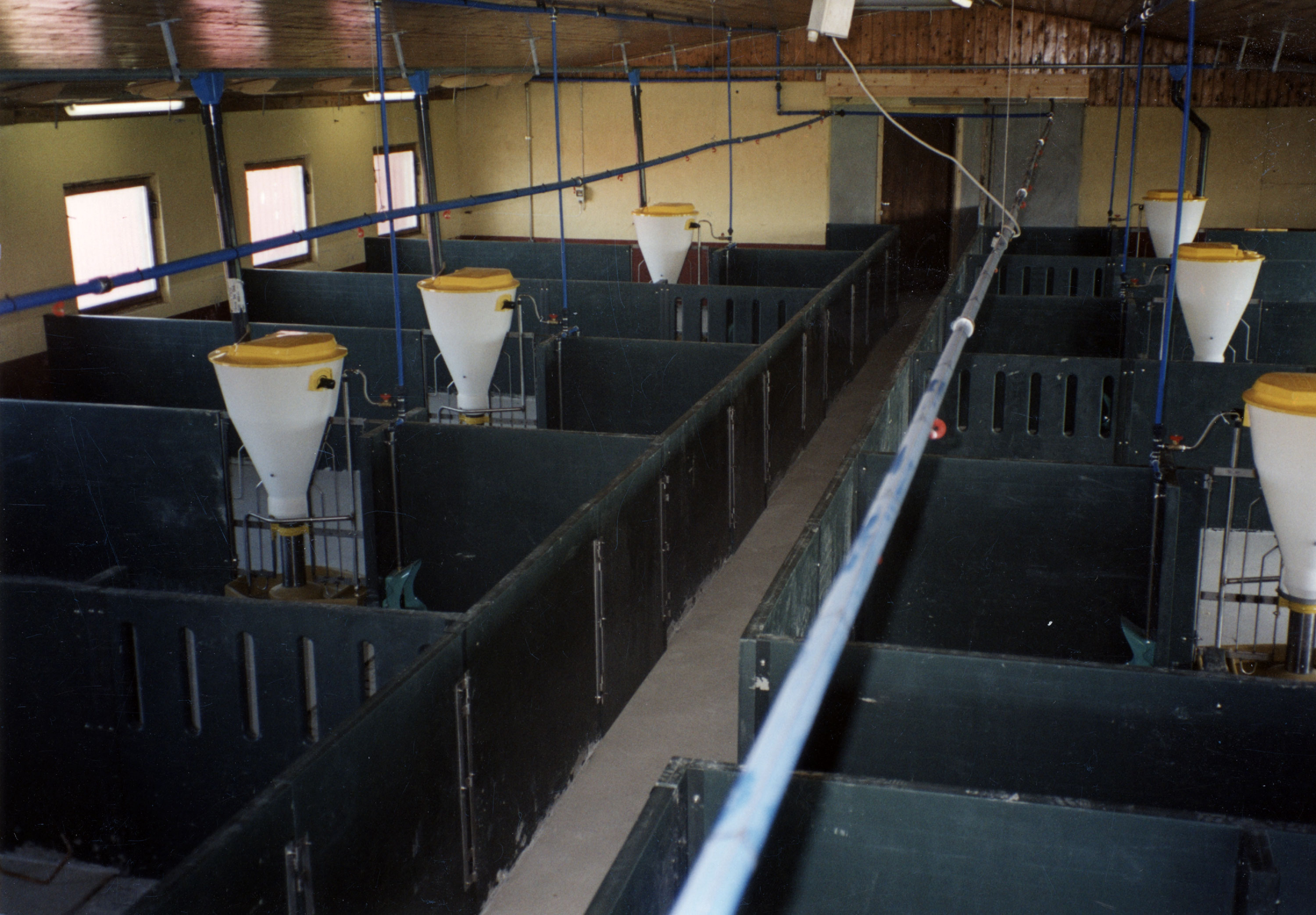 Bingeskiller av 50 mm plastplater.