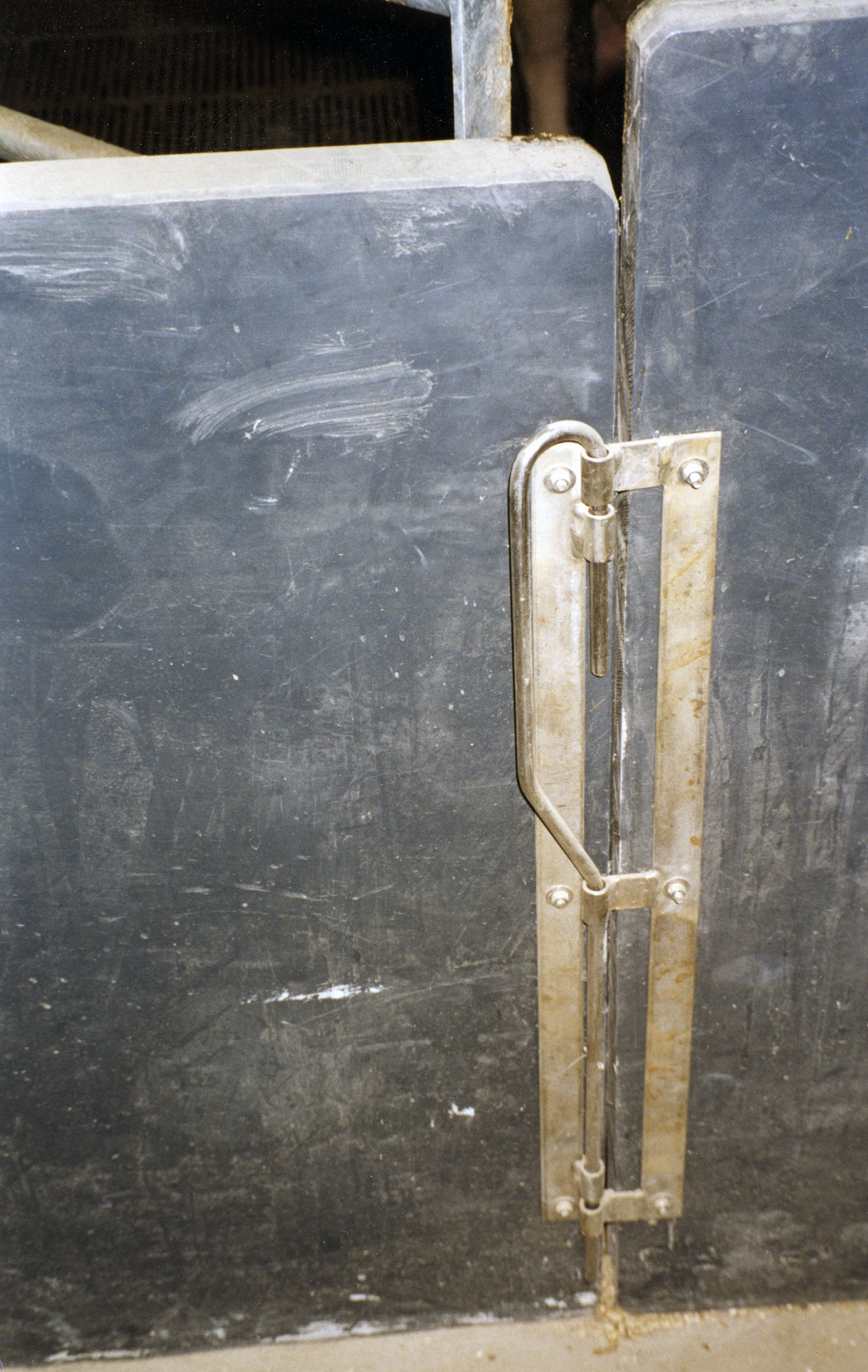 Porthengsle med hyrdespyd.