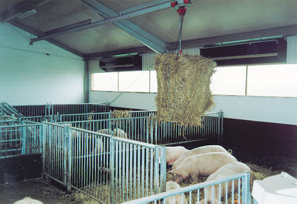 Drektighetsavdeling med talle