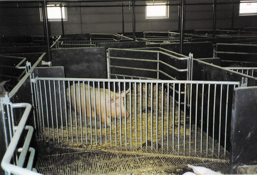 Purka har god plass i en FTS light binge.