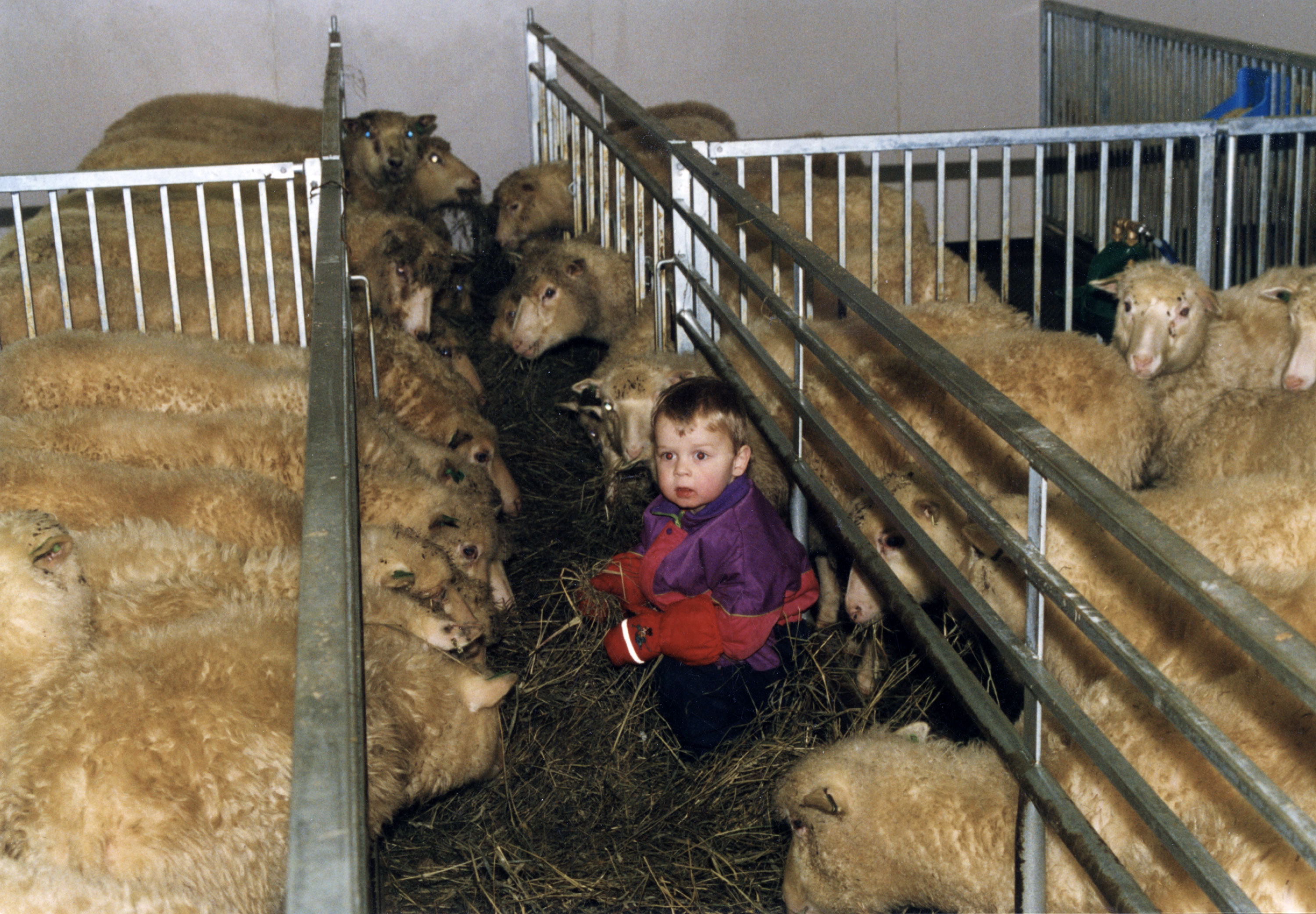 Norum saueinnredning med langsgående eteåpning.