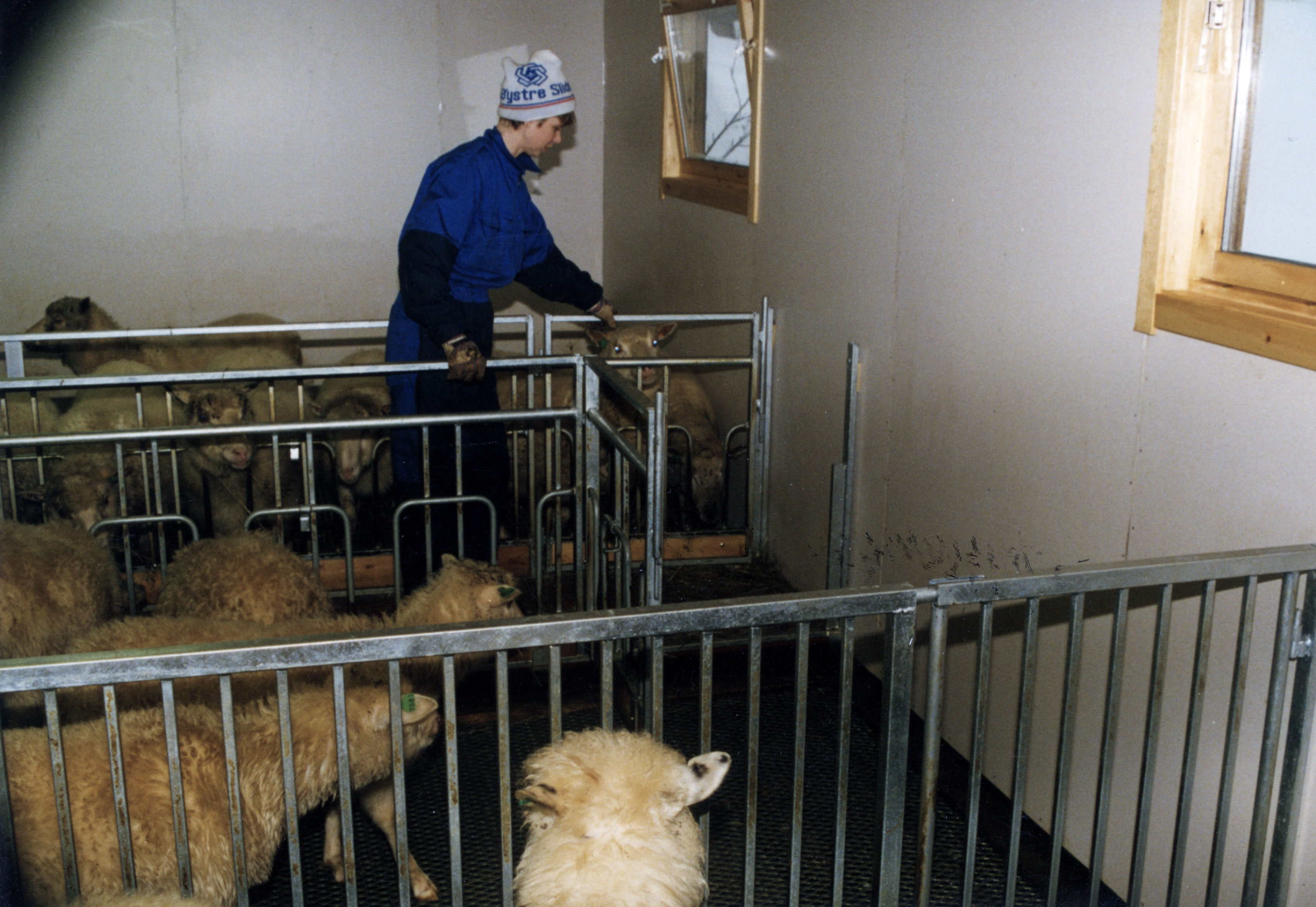 Saueinnredning med port i fronten med oppdelte eteplasser.