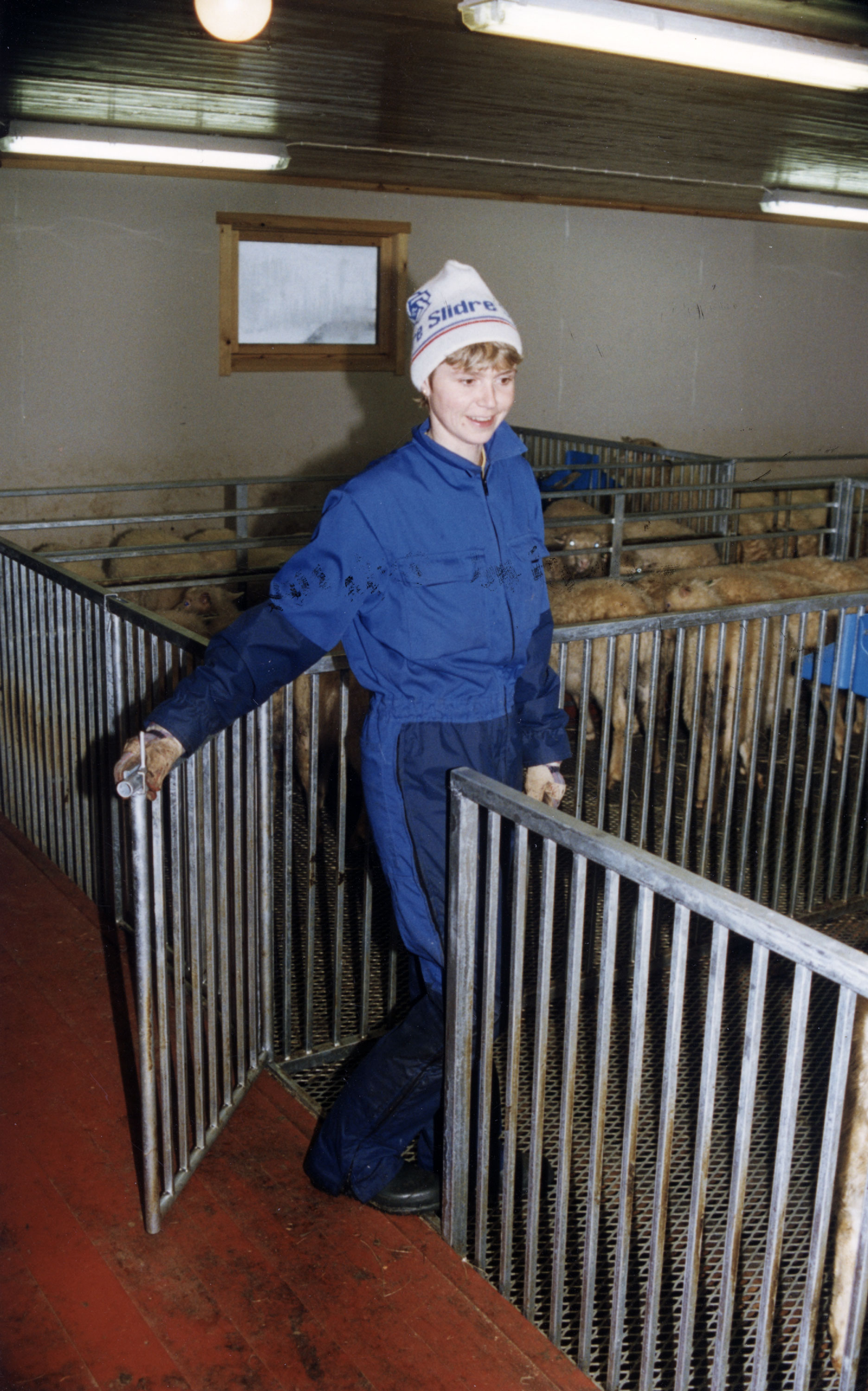 Port i bingeskille på Norum saueinnredning.