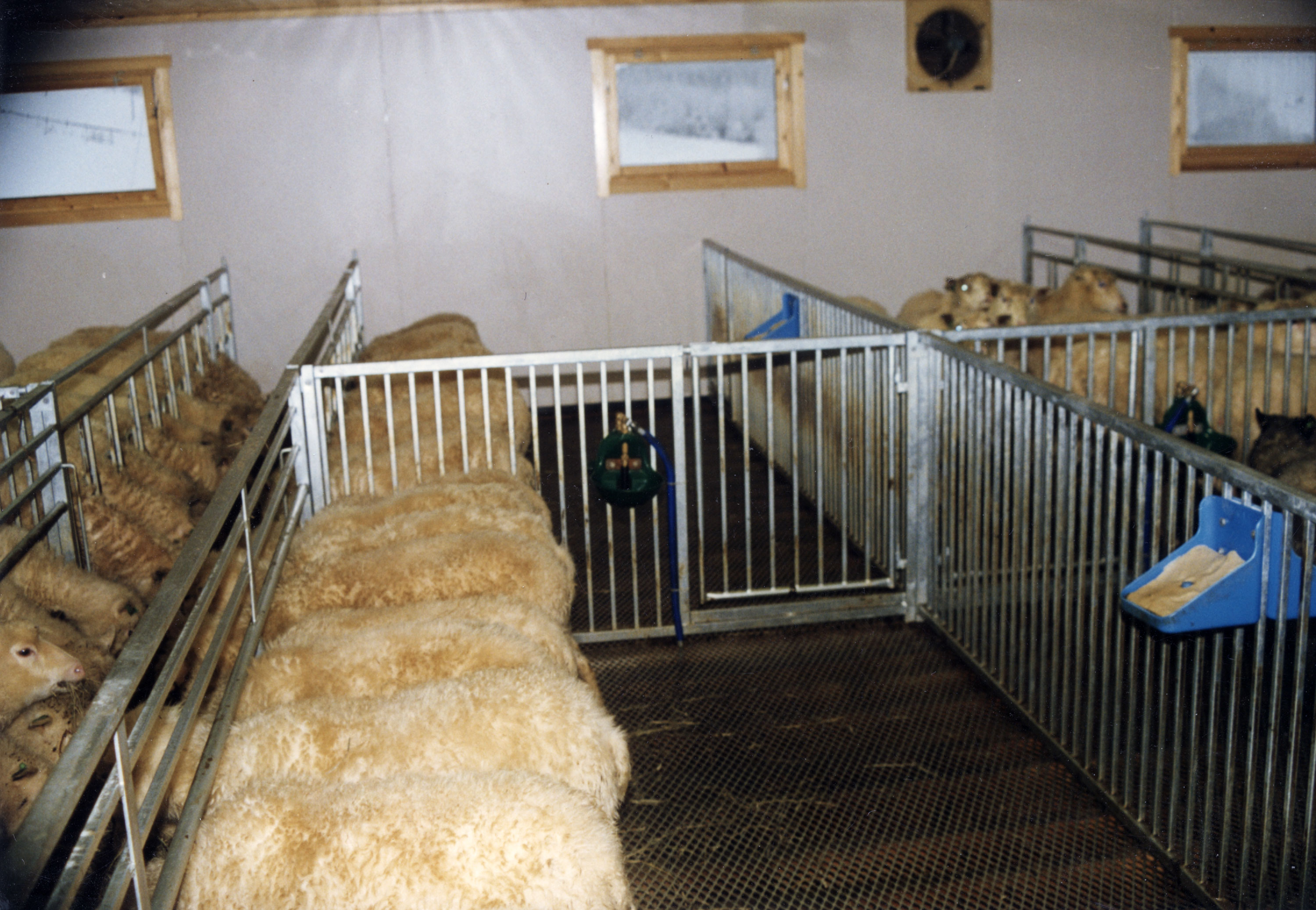 Porter i bingeskillene gjør det enkelt å bevege seg mellom bingene.