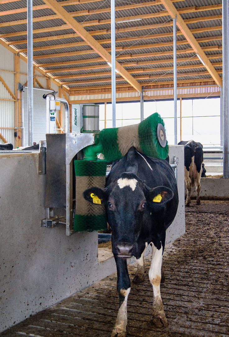 Schurr kubørste for løsdriftsfjøs