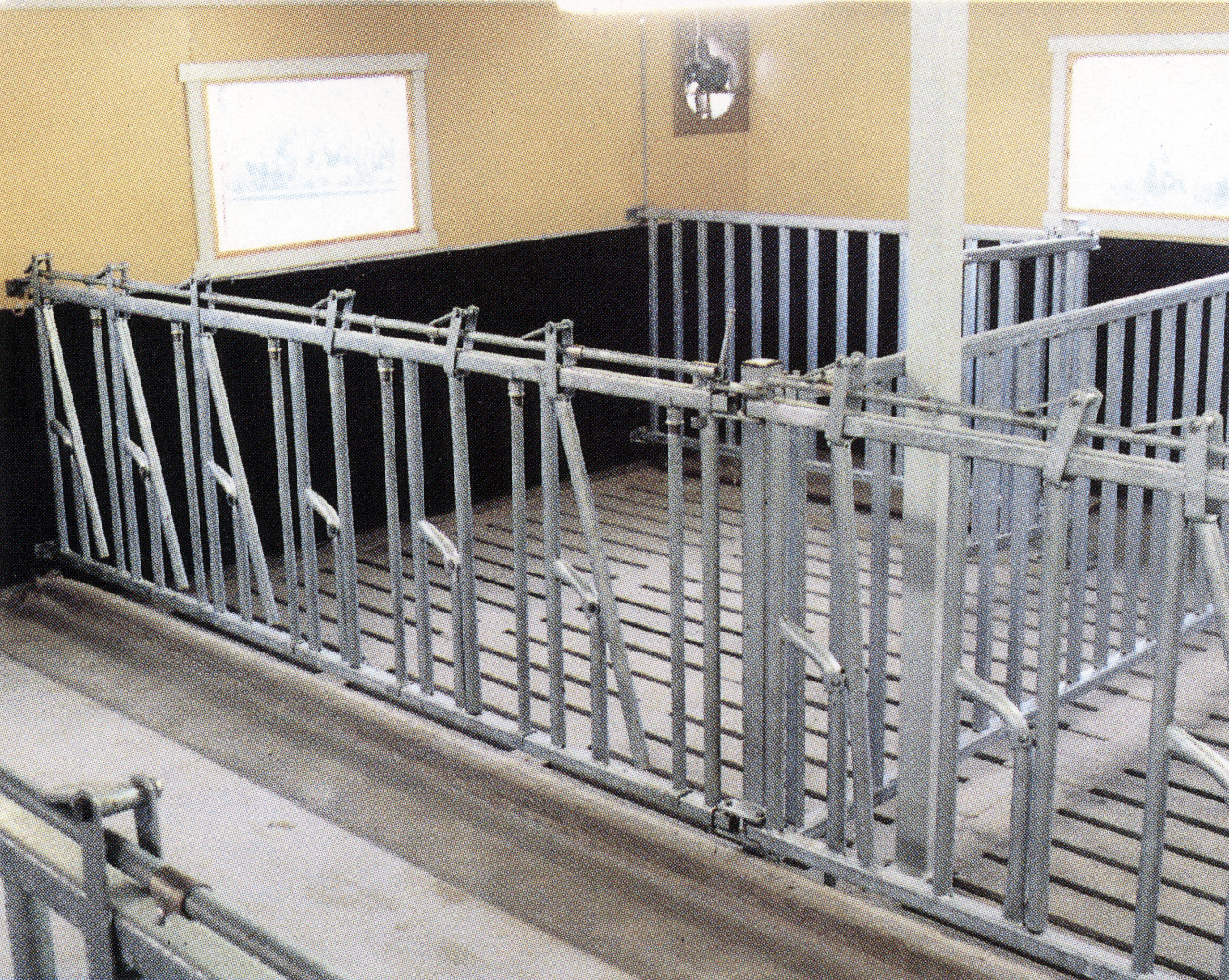 Binge med Norum fanggitter og skiller leveres i størrelser for okse eller ungdyr