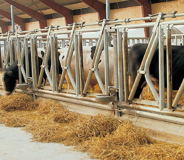 Kraftig fanggitter med innbøyd bøyle nede for store dyr