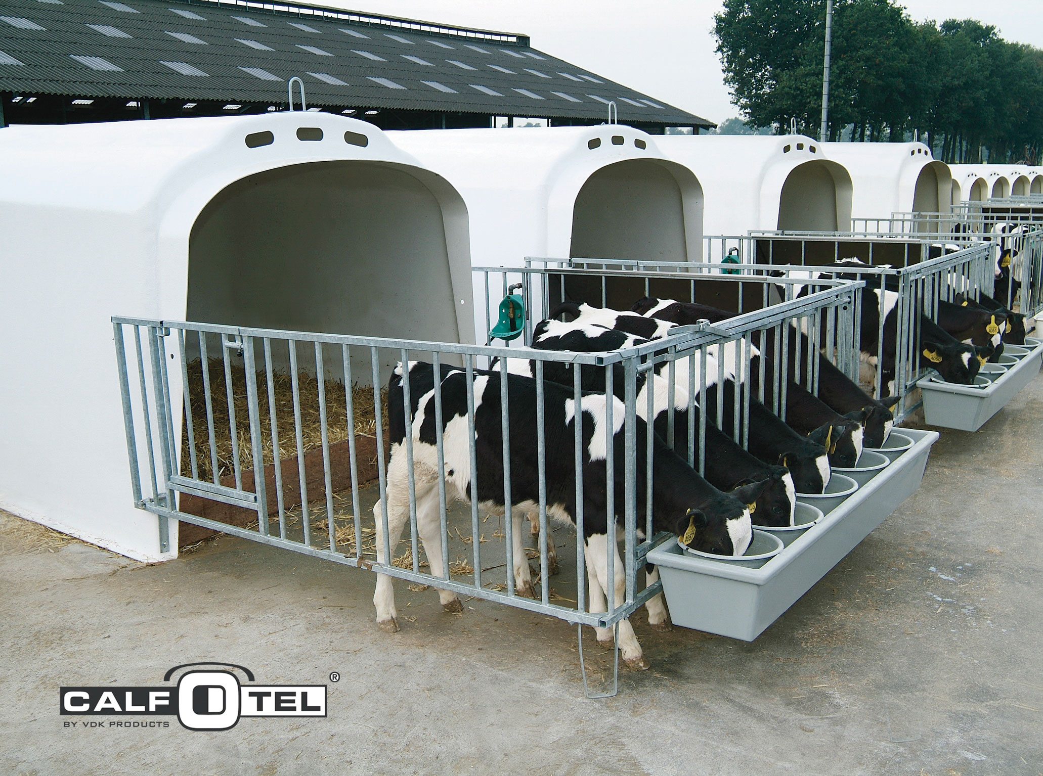Kalvehytte XL-5 for fem kalver med luftegård