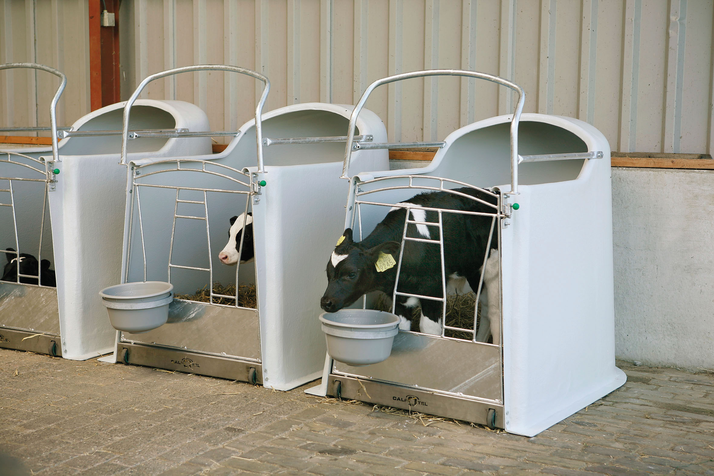 Kalvehytte med åpen topp standard