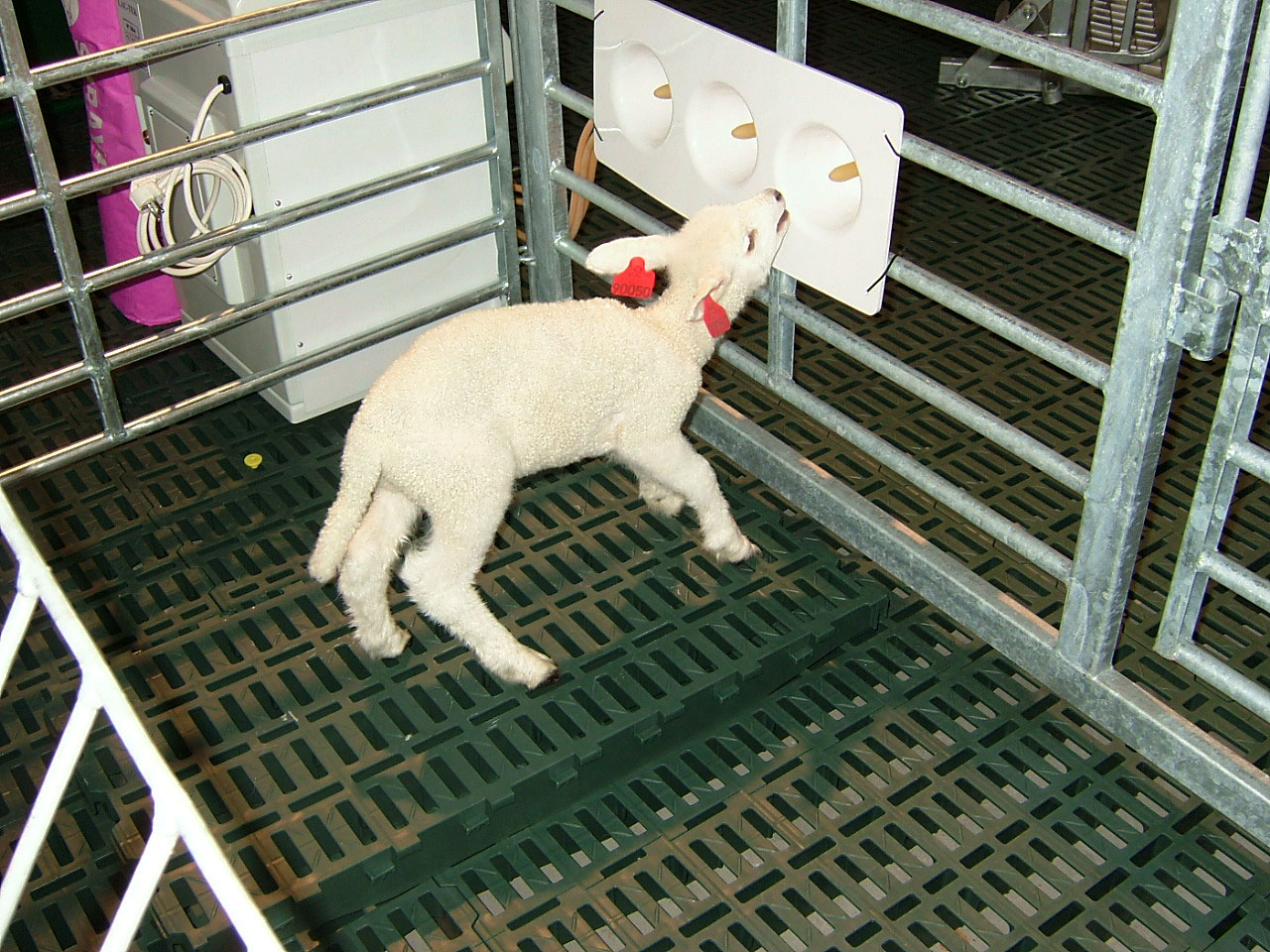 Lac-Tek med spenebrett på Agroteknikk 2009.