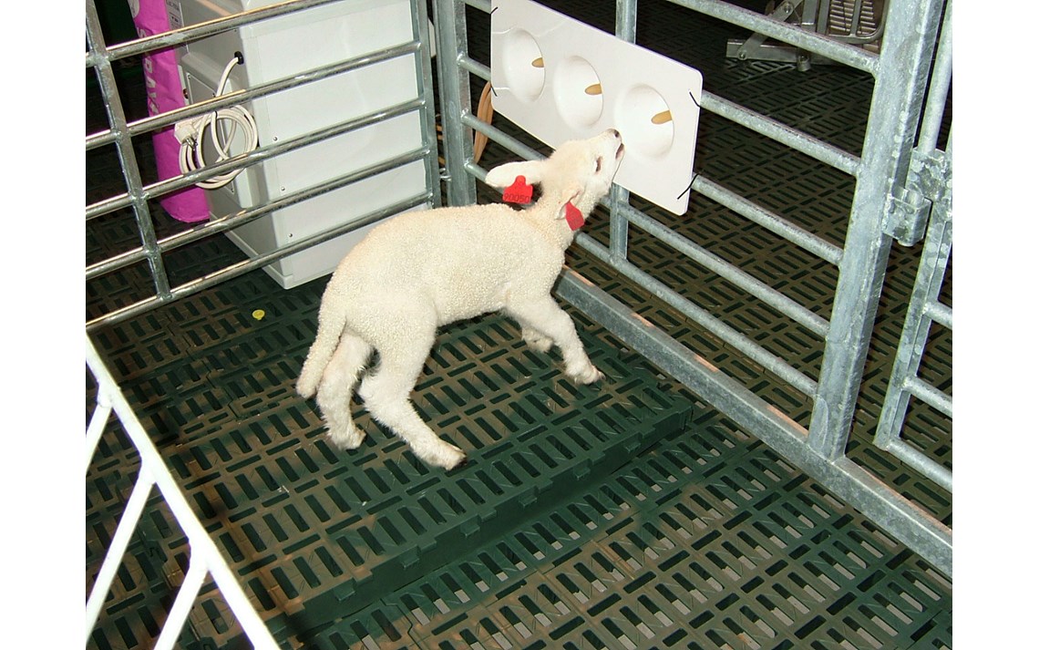 Lac-Tek med spenebrett på Agroteknikk 2009.