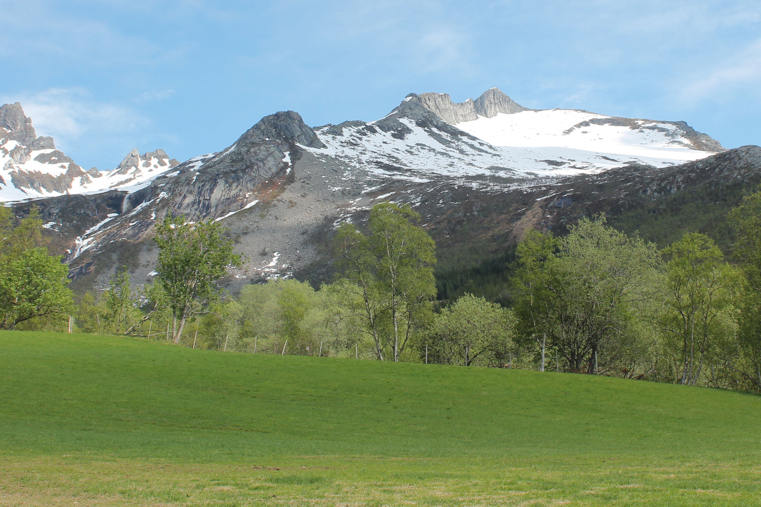 Active NS er et 100% naturprodukt som primært består av tre forskjellige leiremineraler. Den unike sammensetningen gjør at produktet har en særdeles høy ionbytte-effekt. Det er dokumentert at det ved bruk av Active NS blir 1-2 kg mer NH³ pr. tonn bløtgjødsel.
