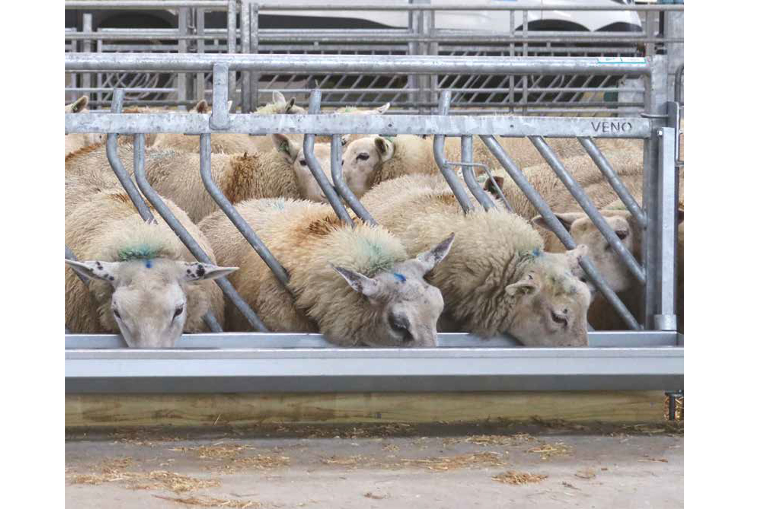 Venos selvlukkende etefront med krybbe