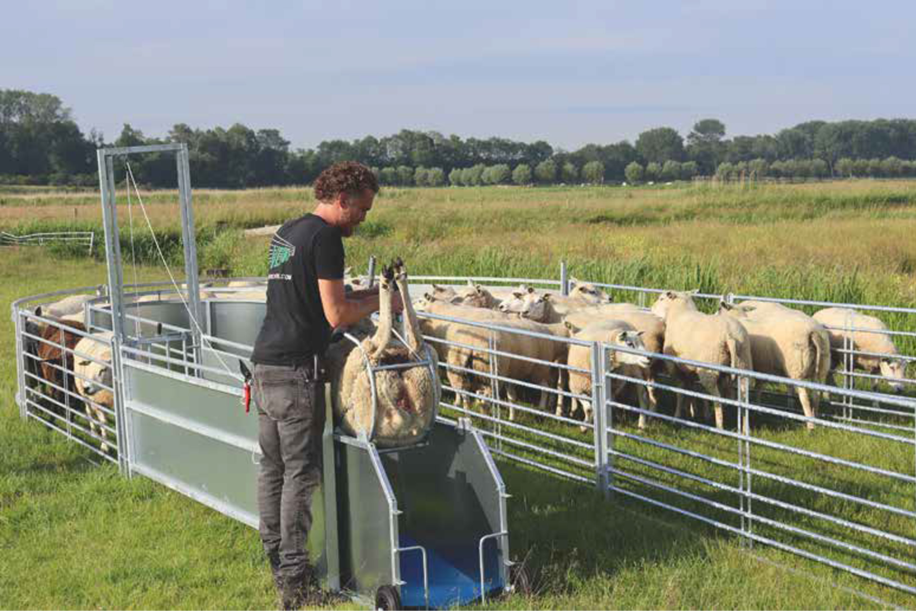 Venos behandlingsanlegg for sau.