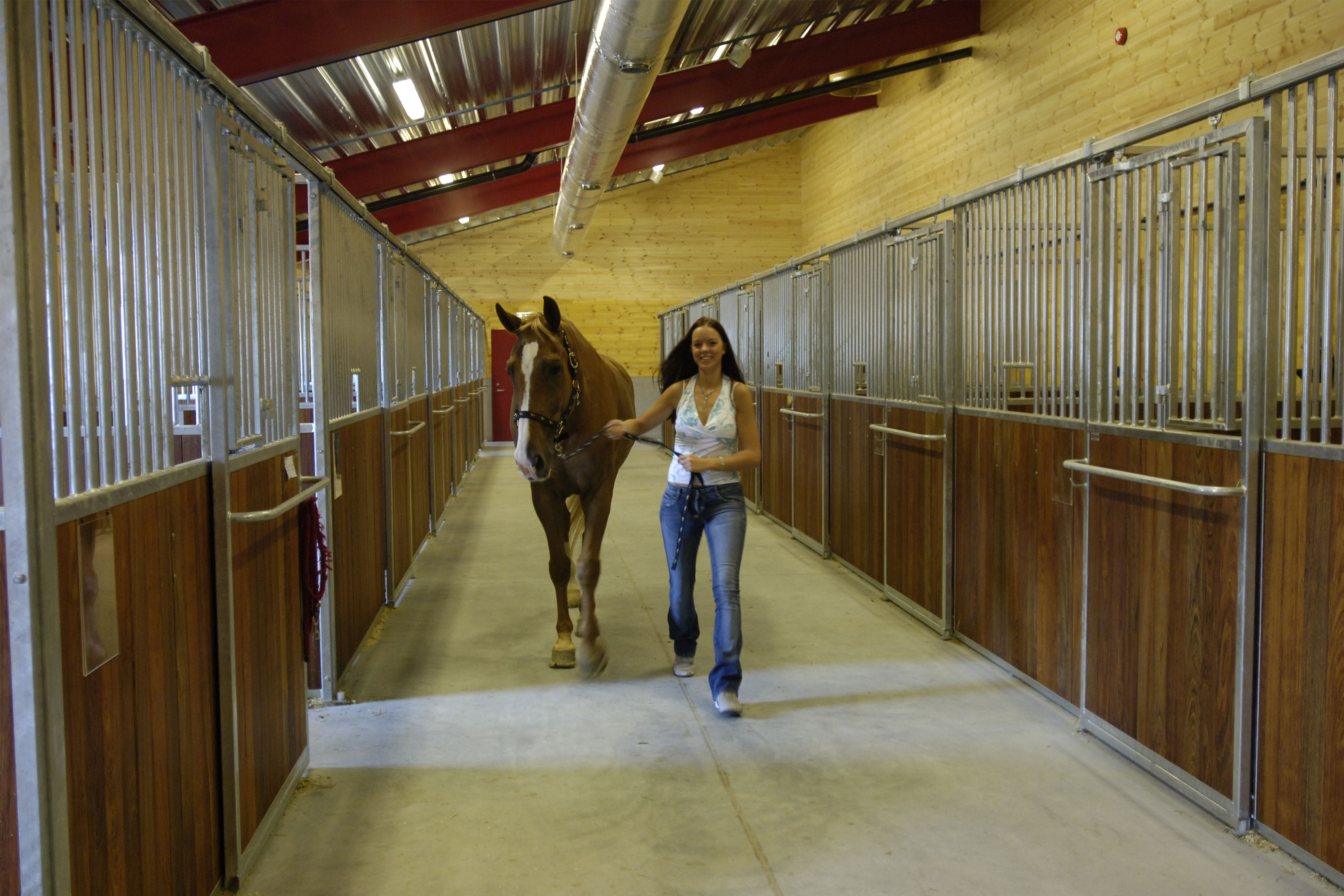 Grand Prix hesteboks med loddrette spiler.