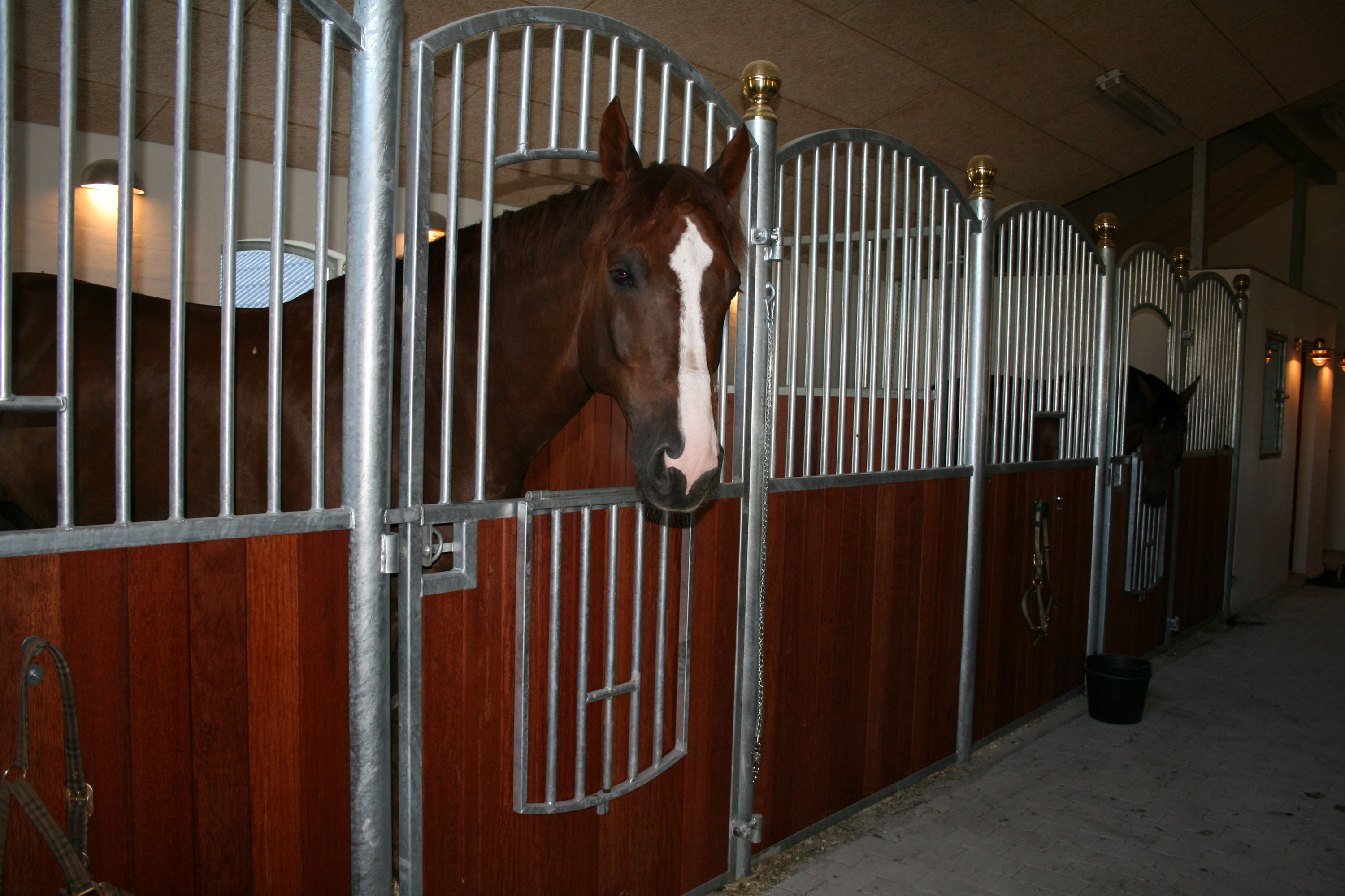 Royal hesteboks med gitter som kan åpnes.