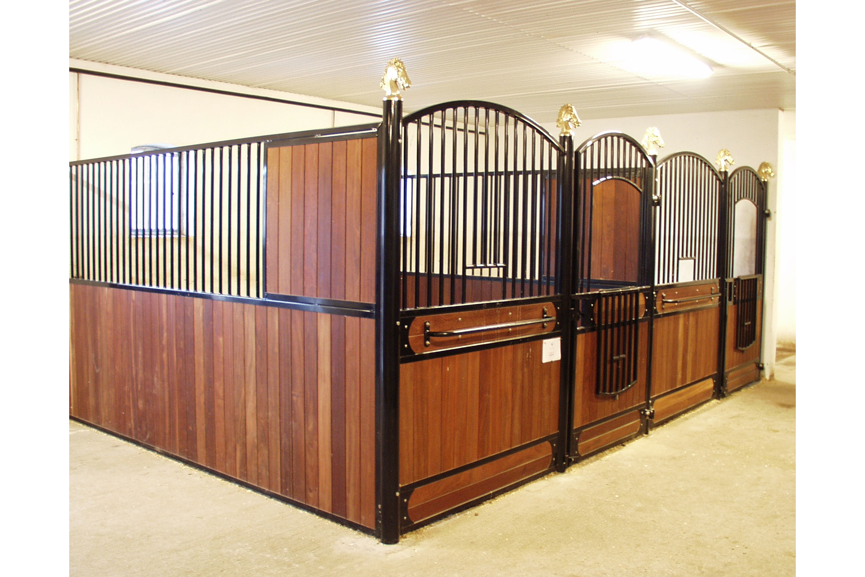 Royal hestebokser lakkert sort.