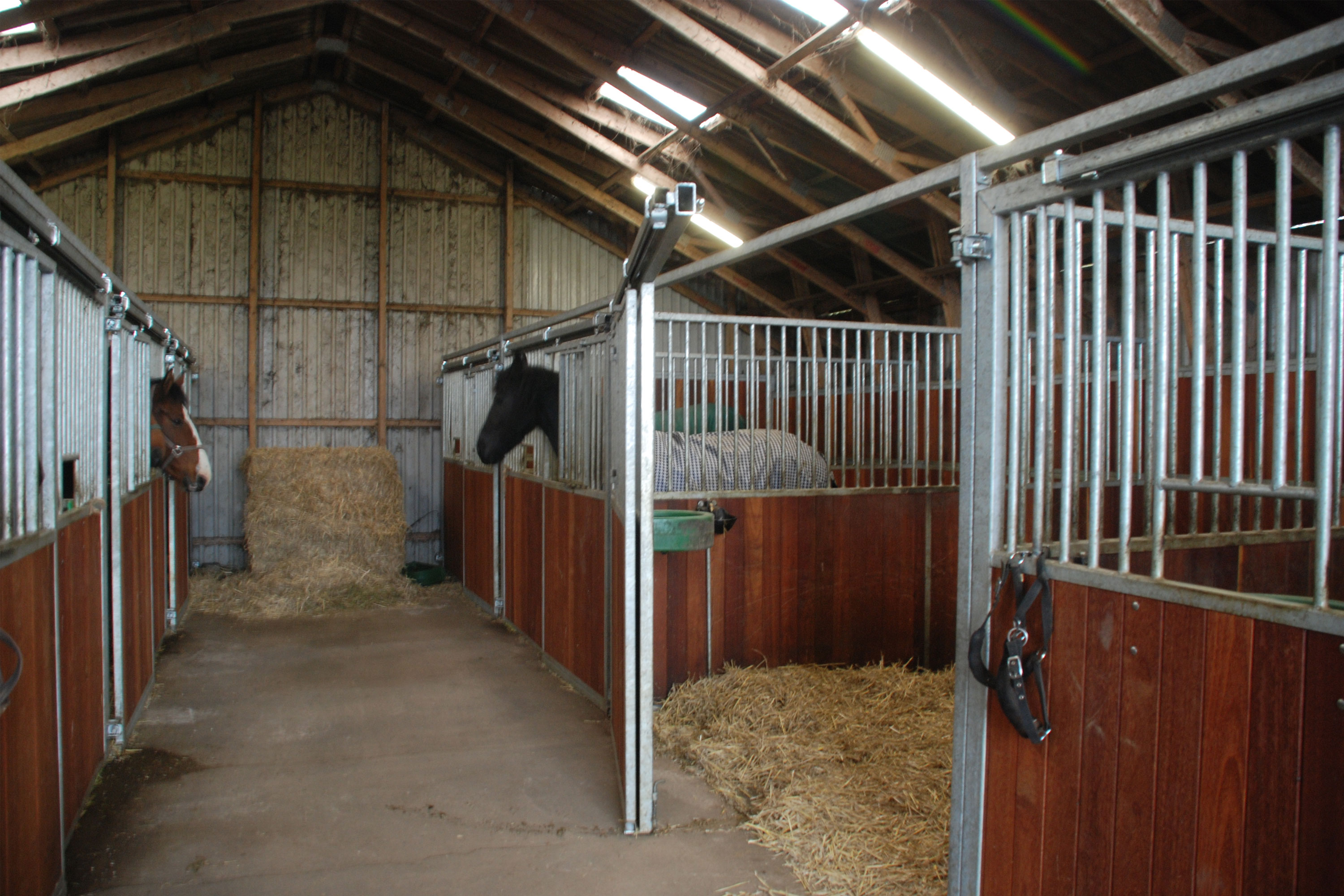 På Classic hestebokser kan hele fronten svinges ut.