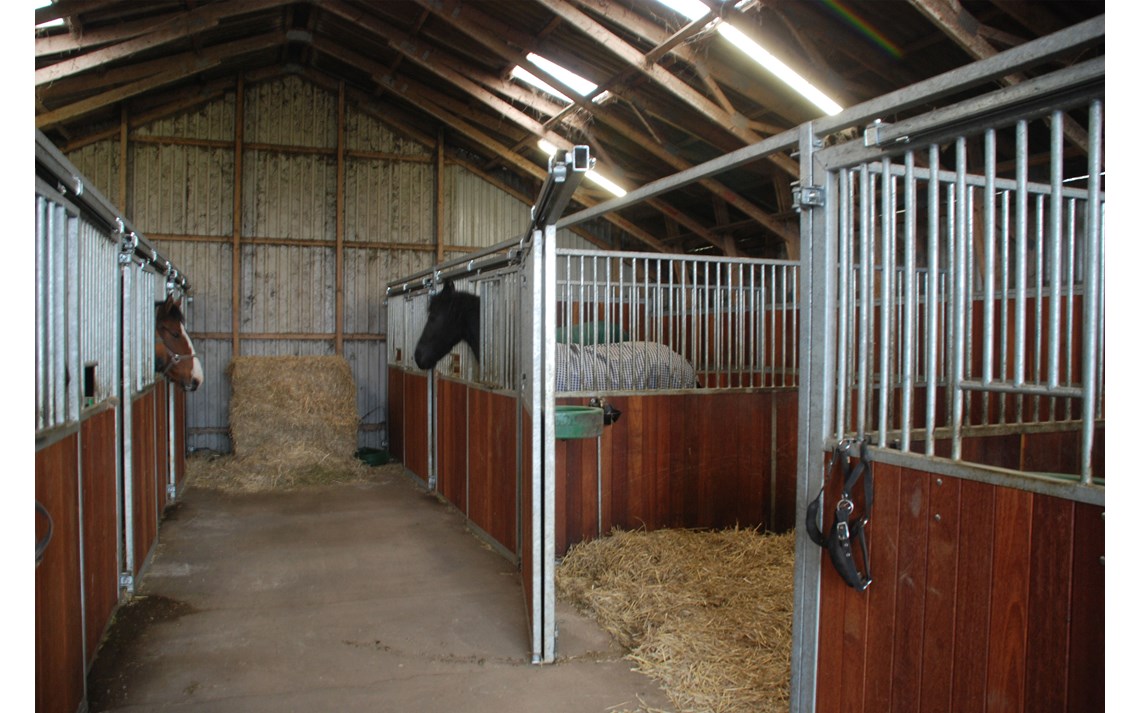 På Classic hestebokser kan hele fronten svinges ut.