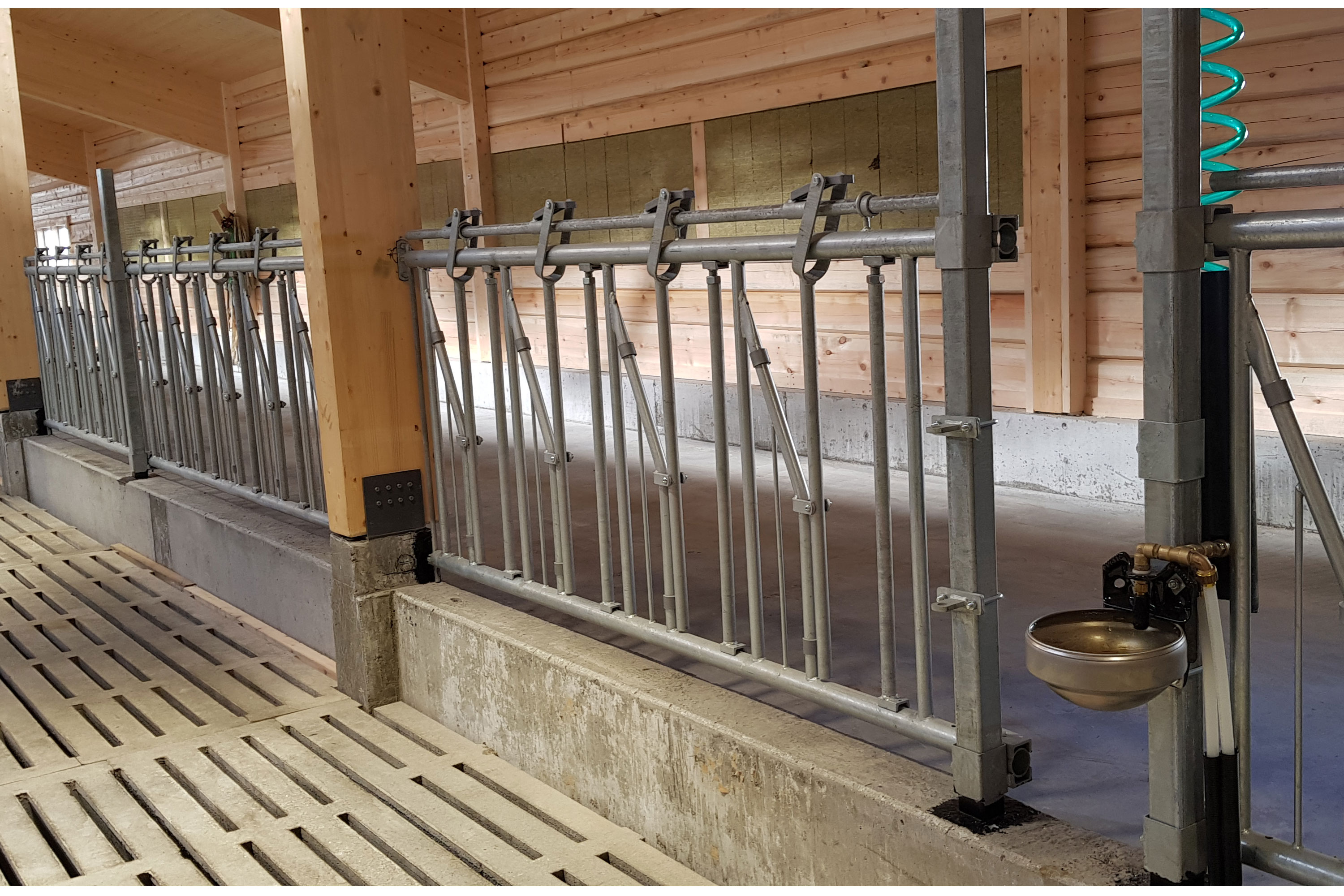 Løsdriftsfjøs med Fremtiden fanggitter og manneåpning i front.