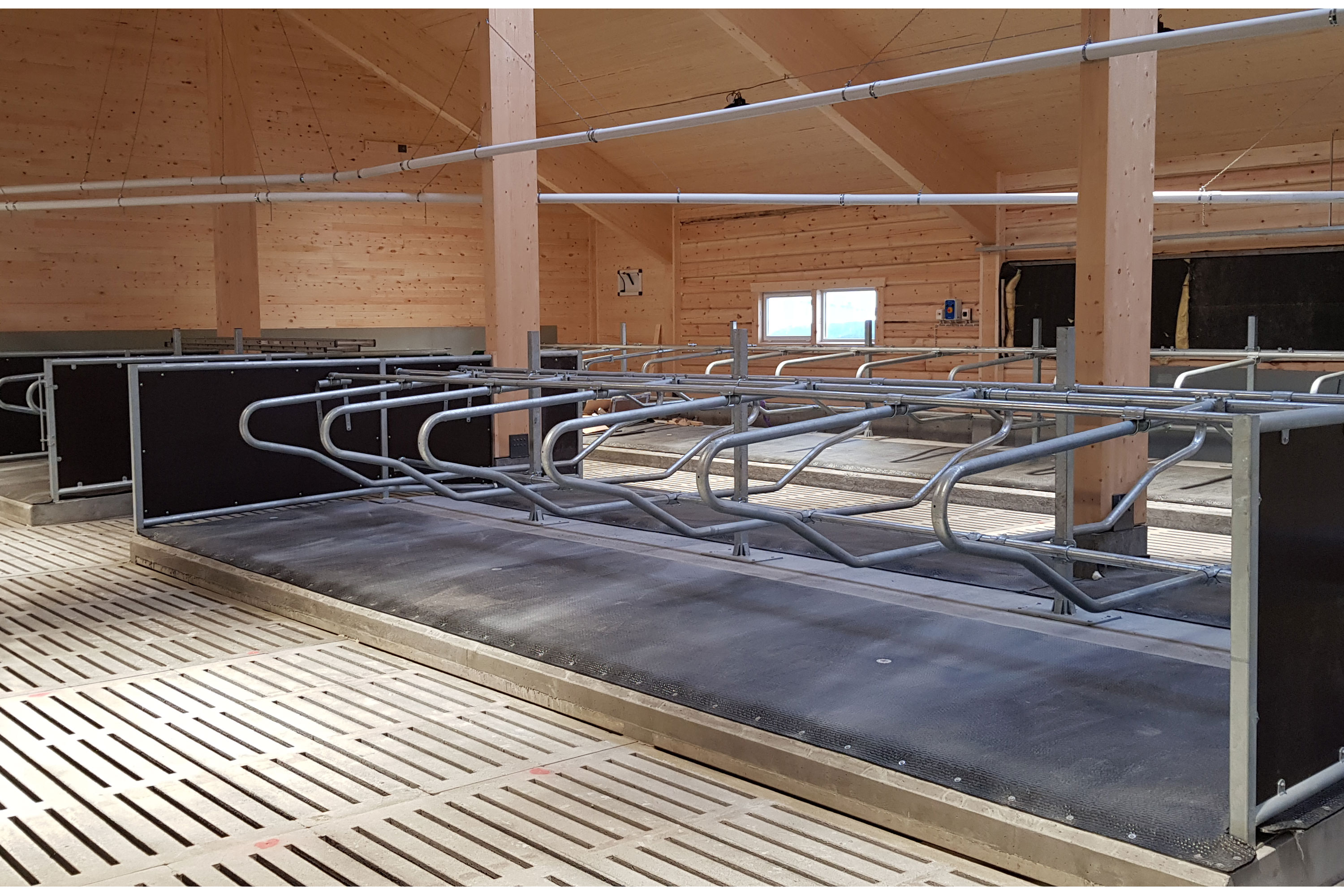 Fremtiden fritthengende liggebåsskiller i løsdriftsfjøs.