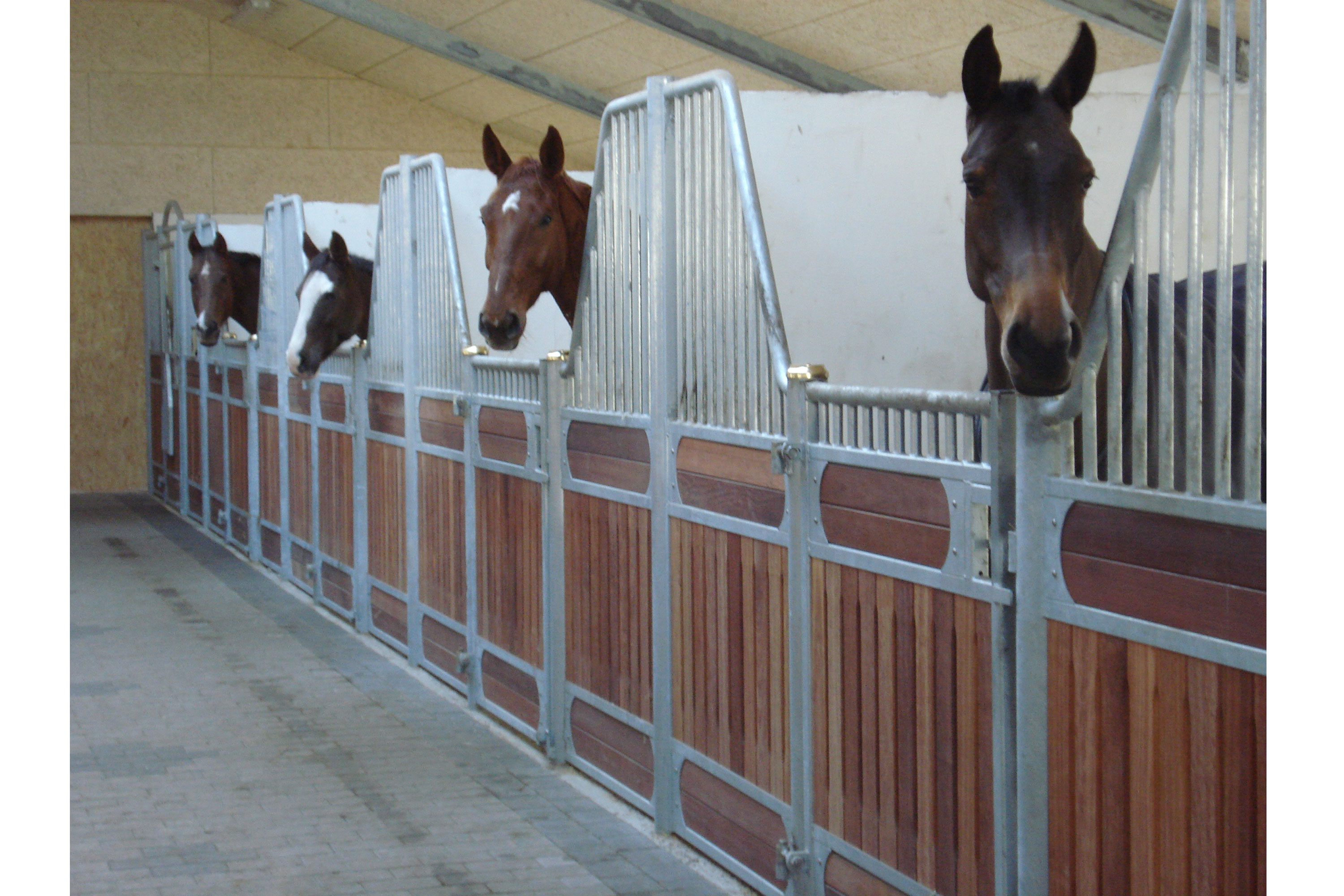 Med Elegance hestebokser får hestene en åpen løsning hvor de kan følge med på hva som skjer.