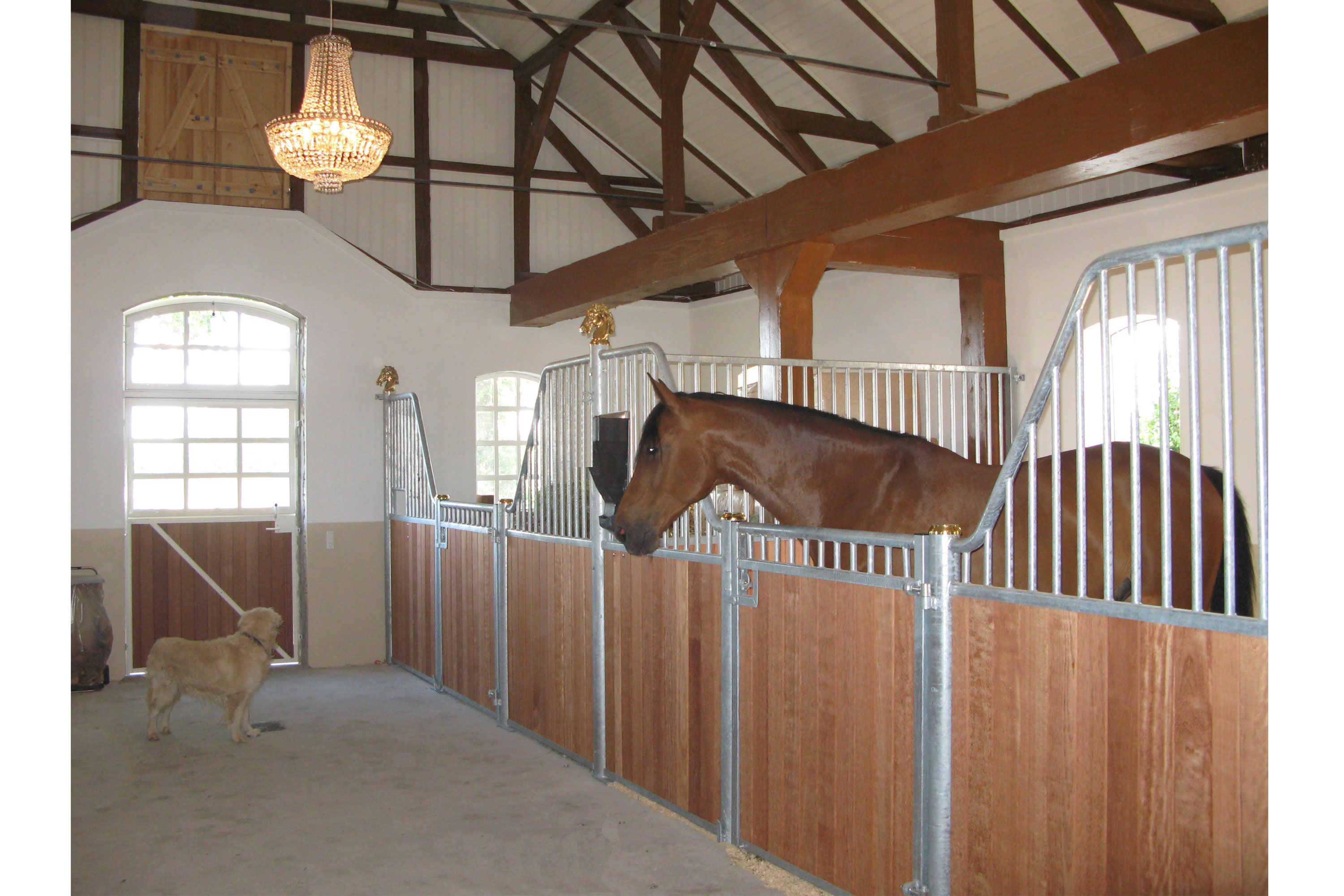 Elegance hestebokser med hestehode på stolper.