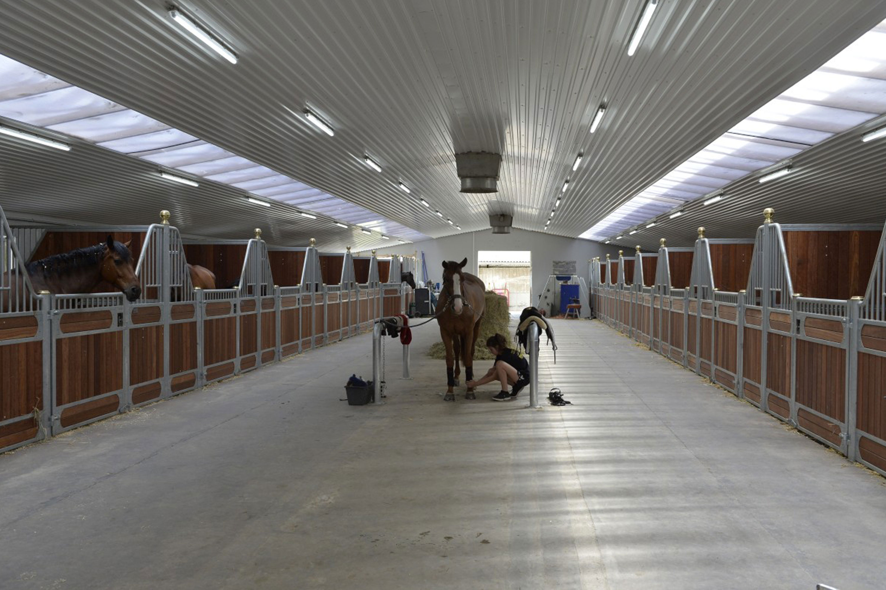 Elegance hestebokser med plass for å binde hesten ved stell.