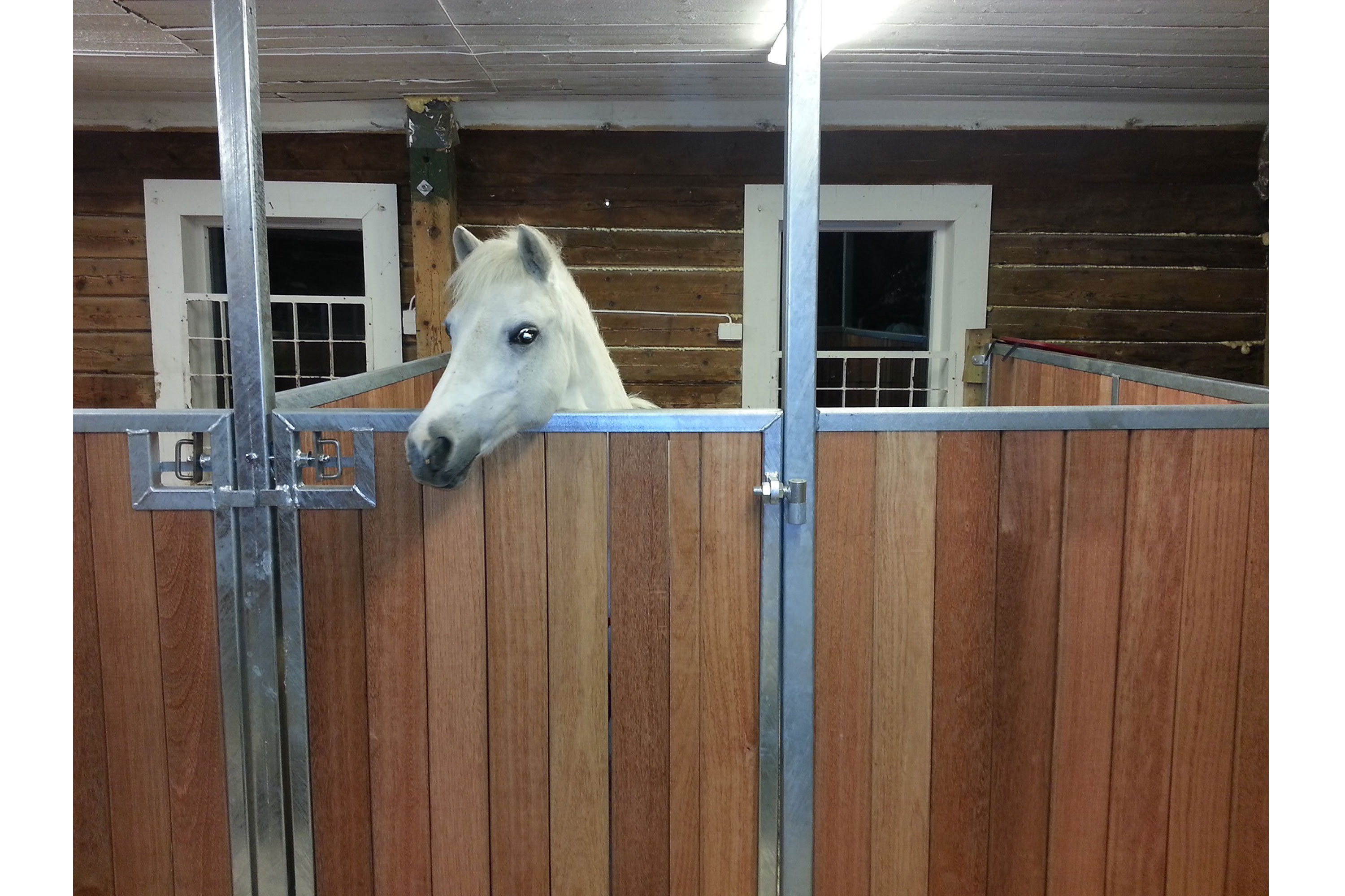 Ponniboks med hardtreplank.
